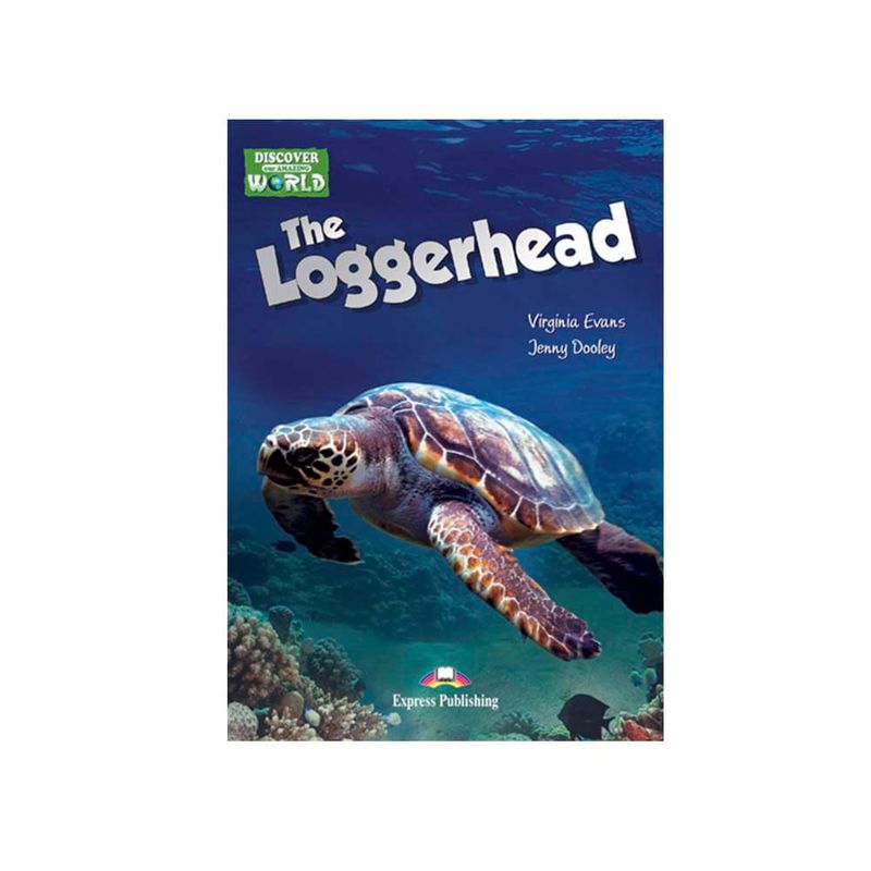 Daw 1: The Loggerhead Reader With Digibook Application