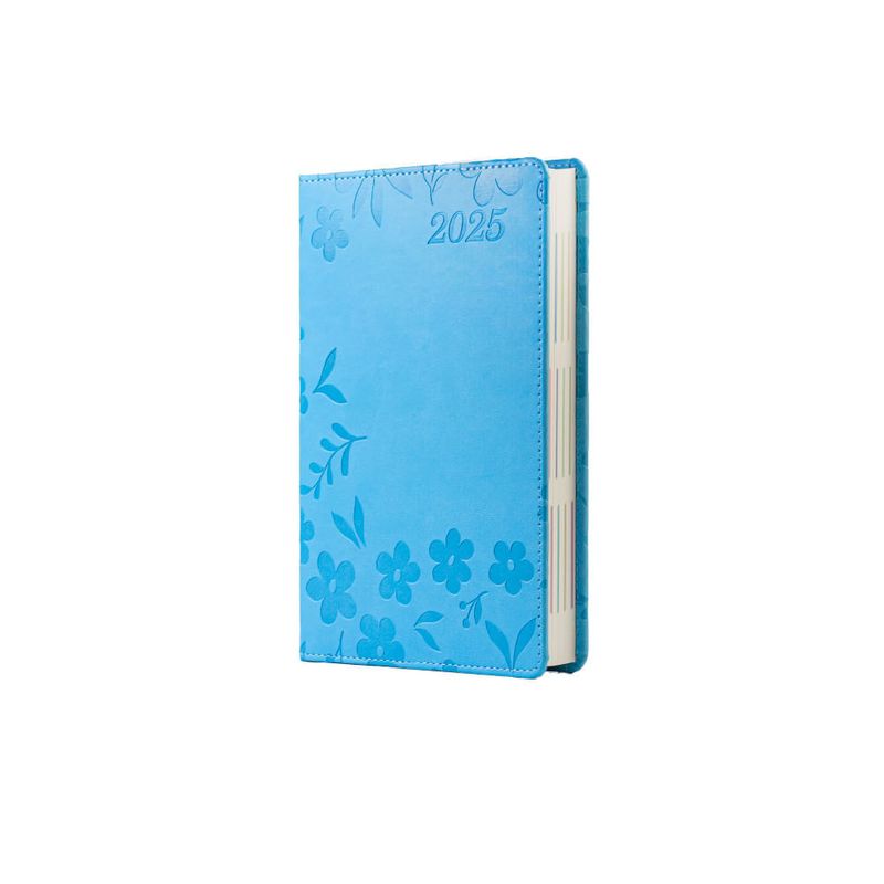 Agenda Venus 2024 - Celeste Pastel en | Dos x Tres